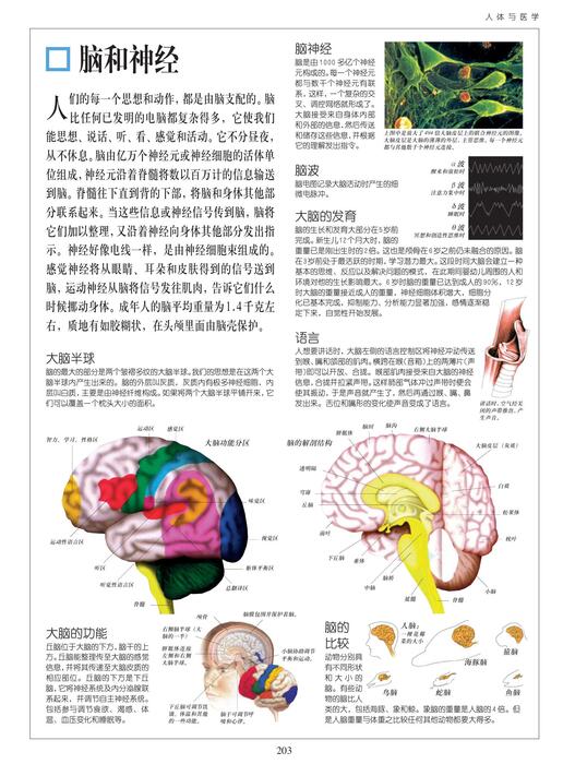 人体与医学