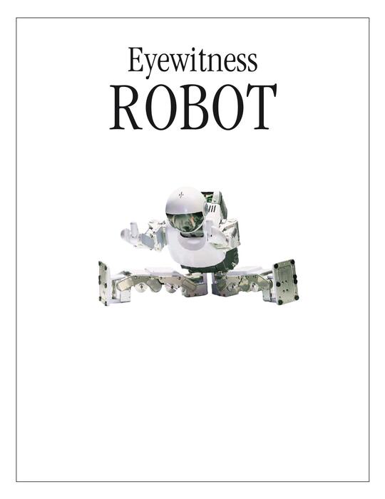 robot-2004