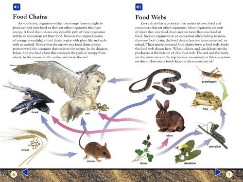 earths_ecosystems