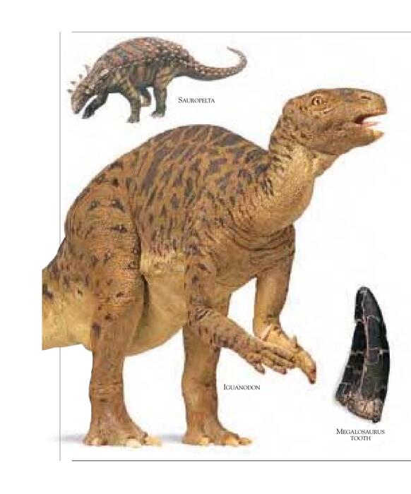 1001_facts_about_dinosaurs-2002