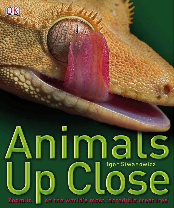 animals_up_close-2009