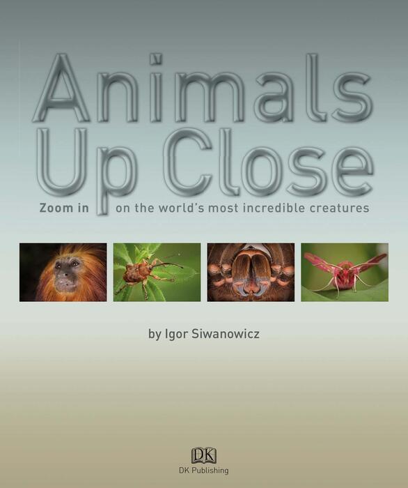 animals_up_close-2009