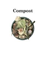 最强DK--Compost_The_natural_way_to_make_food_for_your_garden-2007