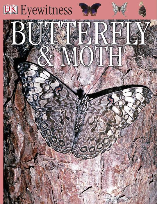 butterfly_and_moth-2000