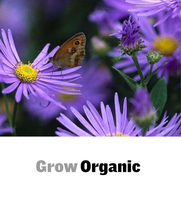 grow_organic-2008