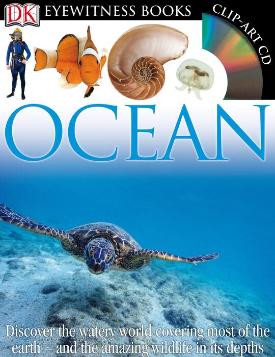 ocean-2008