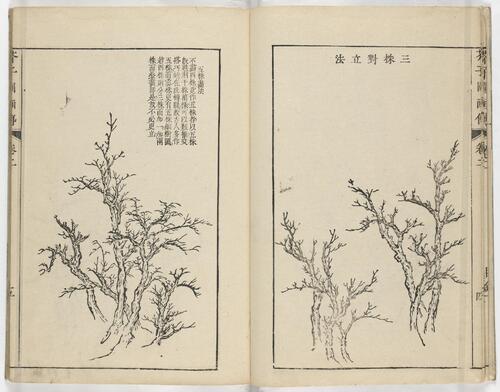 页面提取自－芥子园画传.初集.五卷.清.王槩等辑摹.日本宽延时期河南四郎右衛門彩色套印本-2