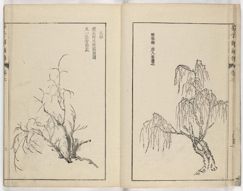 页面提取自－芥子园画传.初集.五卷.清.王槩等辑摹.日本宽延时期河南四郎右衛門彩色套印本-3