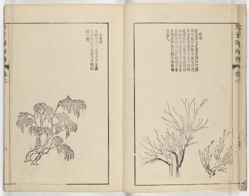 页面提取自－芥子园画传.初集.五卷.清.王槩等辑摹.日本宽延时期河南四郎右衛門彩色套印本-3