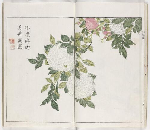 页面提取自－芥子园画传.三集.六卷.清.王槩等辑摹.日本宽延元年河南四郎右衛門彩色套印本.1748年-3