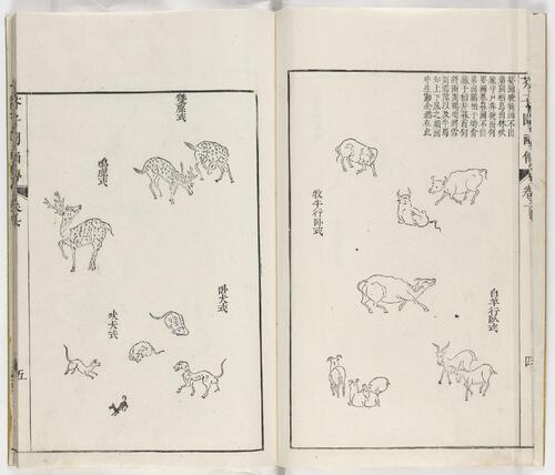 页面提取自－芥子园画传.三集.六卷.清.王槩等辑摹.日本宽延元年河南四郎右衛門彩色套印本.1748年-6