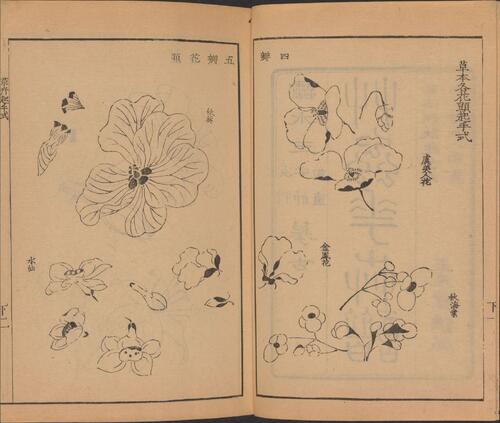 页面提取自－芥子园画传.四集.四卷.清.王槩等辑摹.日本安永年间五车楼重镌刊本-2