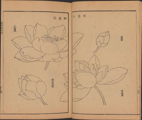 页面提取自－芥子园画传.四集.四卷.清.王槩等辑摹.日本安永年间五车楼重镌刊本-2