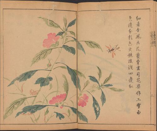 页面提取自－芥子园画传.四集.四卷.清.王槩等辑摹.日本安永年间五车楼重镌刊本-3