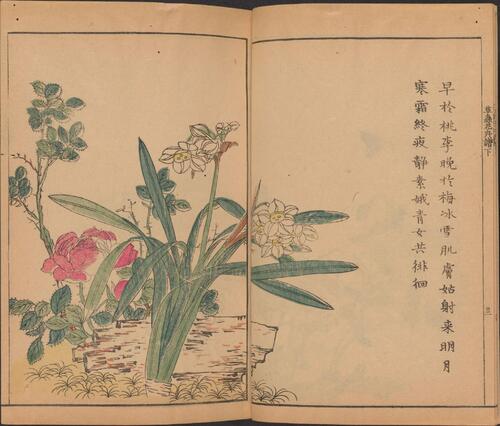 页面提取自－芥子园画传.四集.四卷.清.王槩等辑摹.日本安永年间五车楼重镌刊本-4